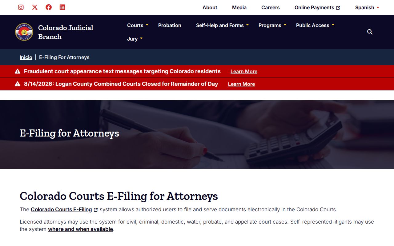Mineral County case search official court record explanation