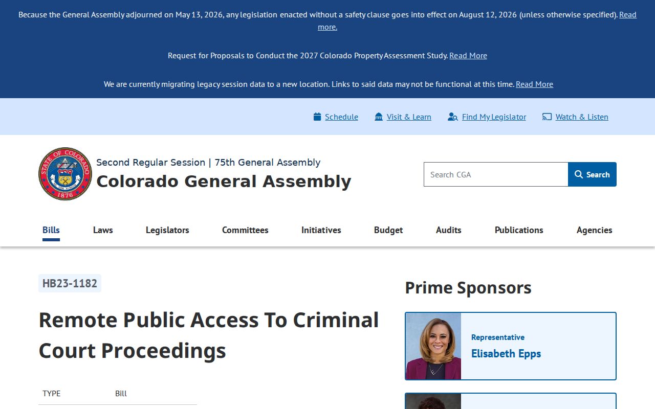 Mineral County criminal docket remote observation law